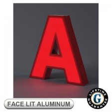 Gemini Face Lit FABRICATED ALUMINUM Sign Letters 